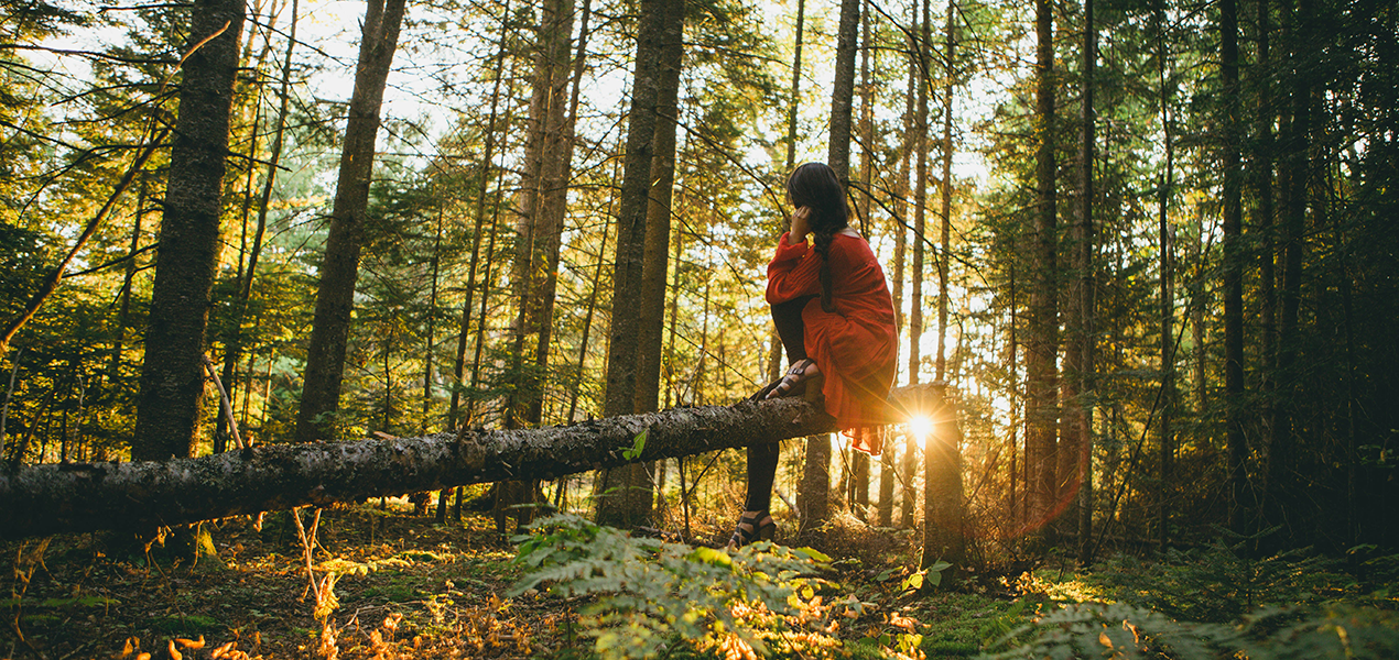 A woman with dark hair styled in a braid and wearing a red coat sits on a fallen tree in a sunlit forest, surrounded by tall trees and green foliage.